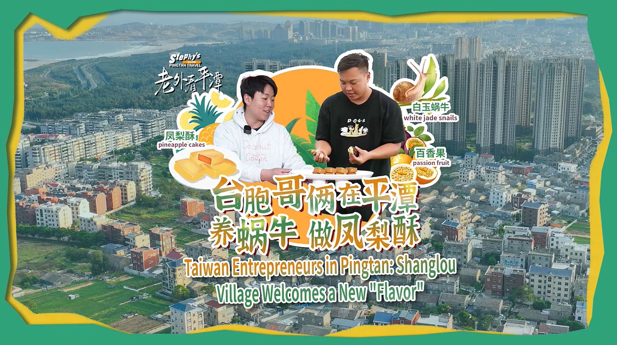老外看平潭丨臺(tái)胞哥倆在平潭養(yǎng)蝸牛、做鳳梨酥