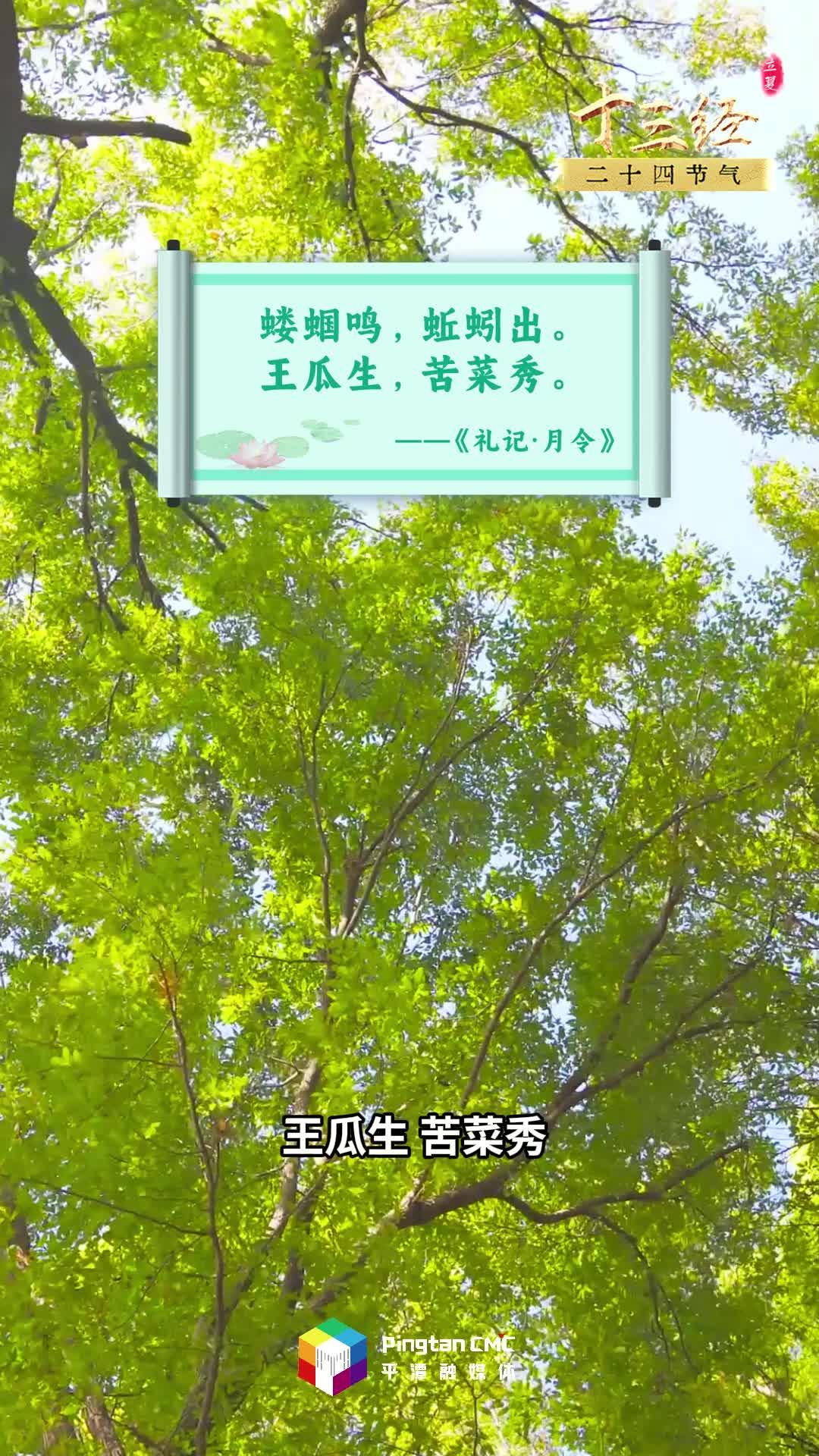 “十三經(jīng)”二十四節(jié)氣丨立夏