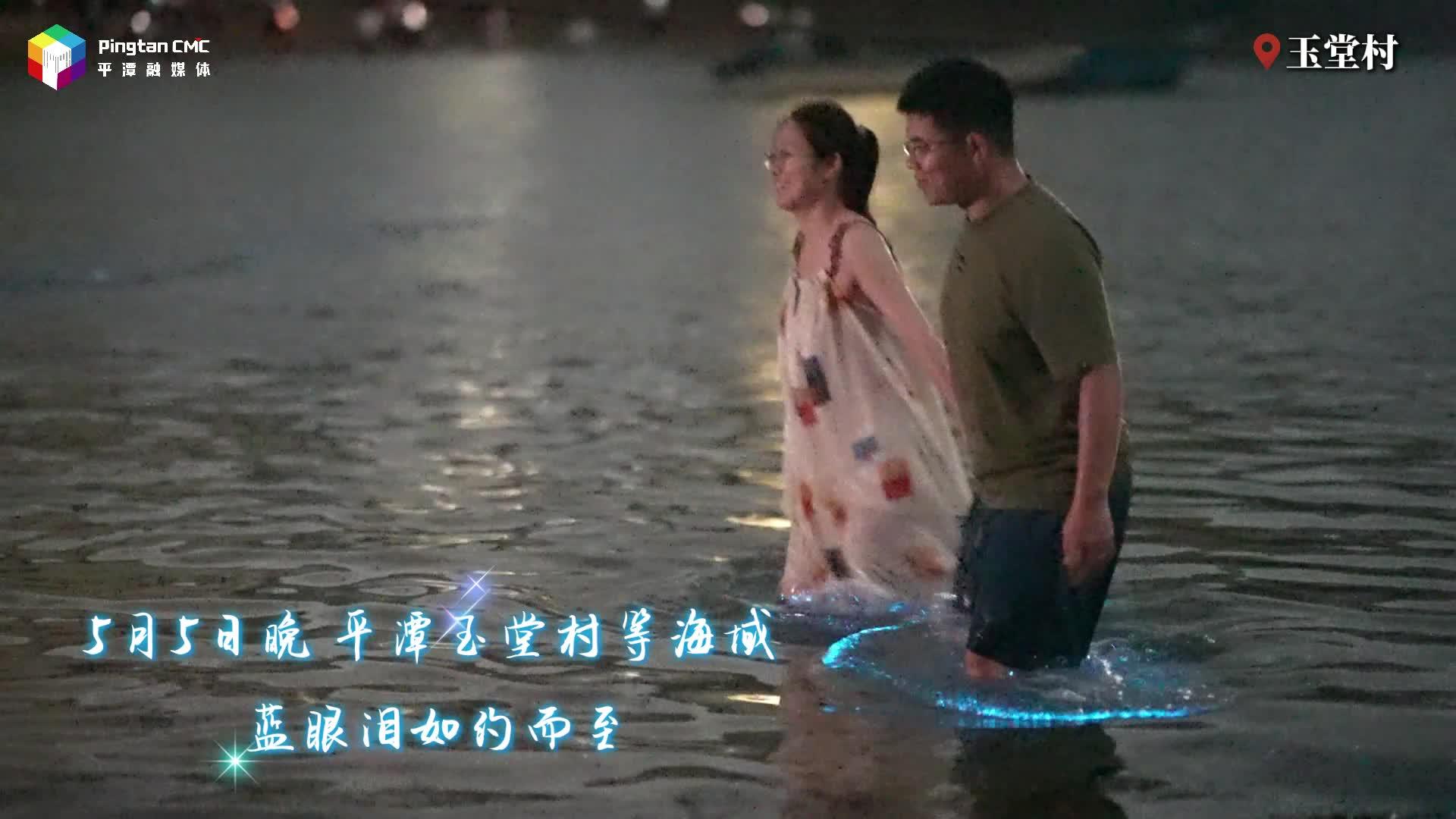 平潭藍(lán)眼淚如約而至！赴一場(chǎng)追光之約
