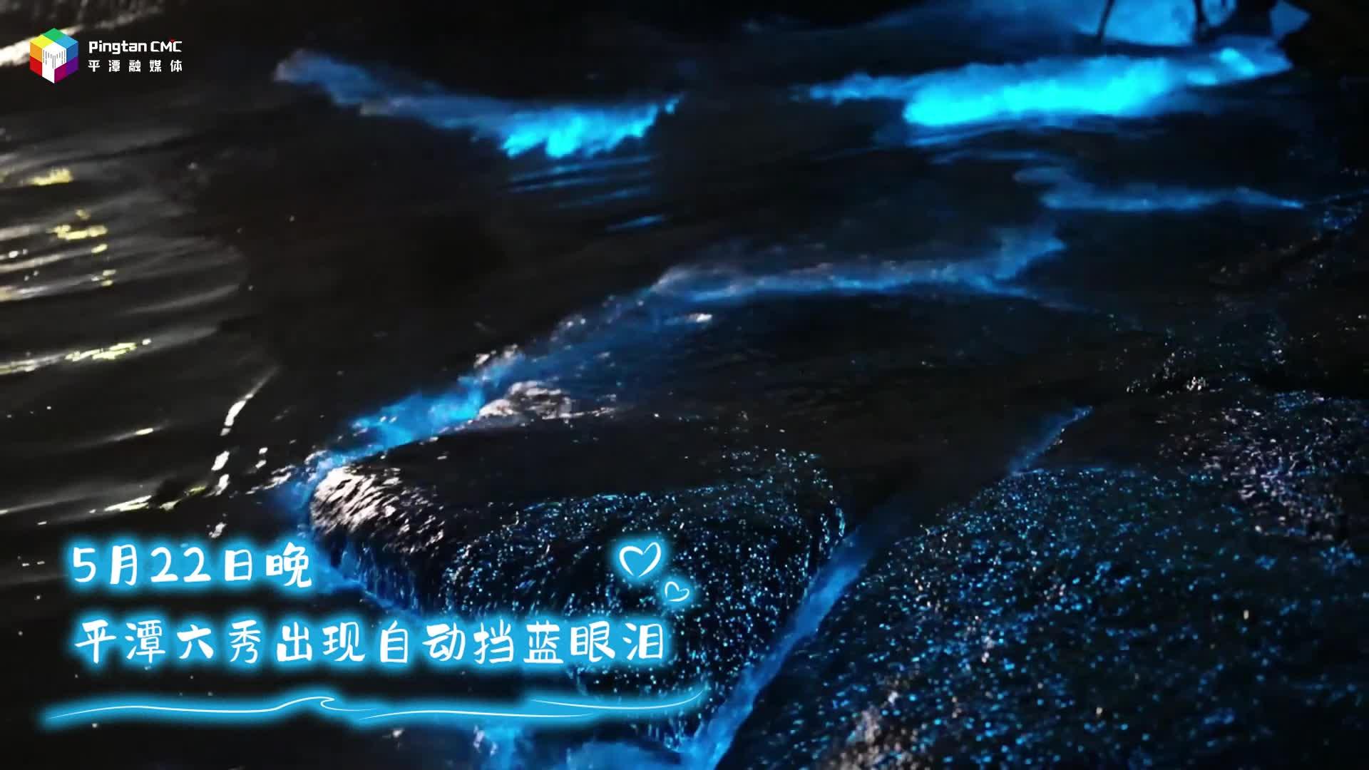 浪漫常駐！5月22日晚，平潭六秀出現(xiàn)自動擋藍眼淚