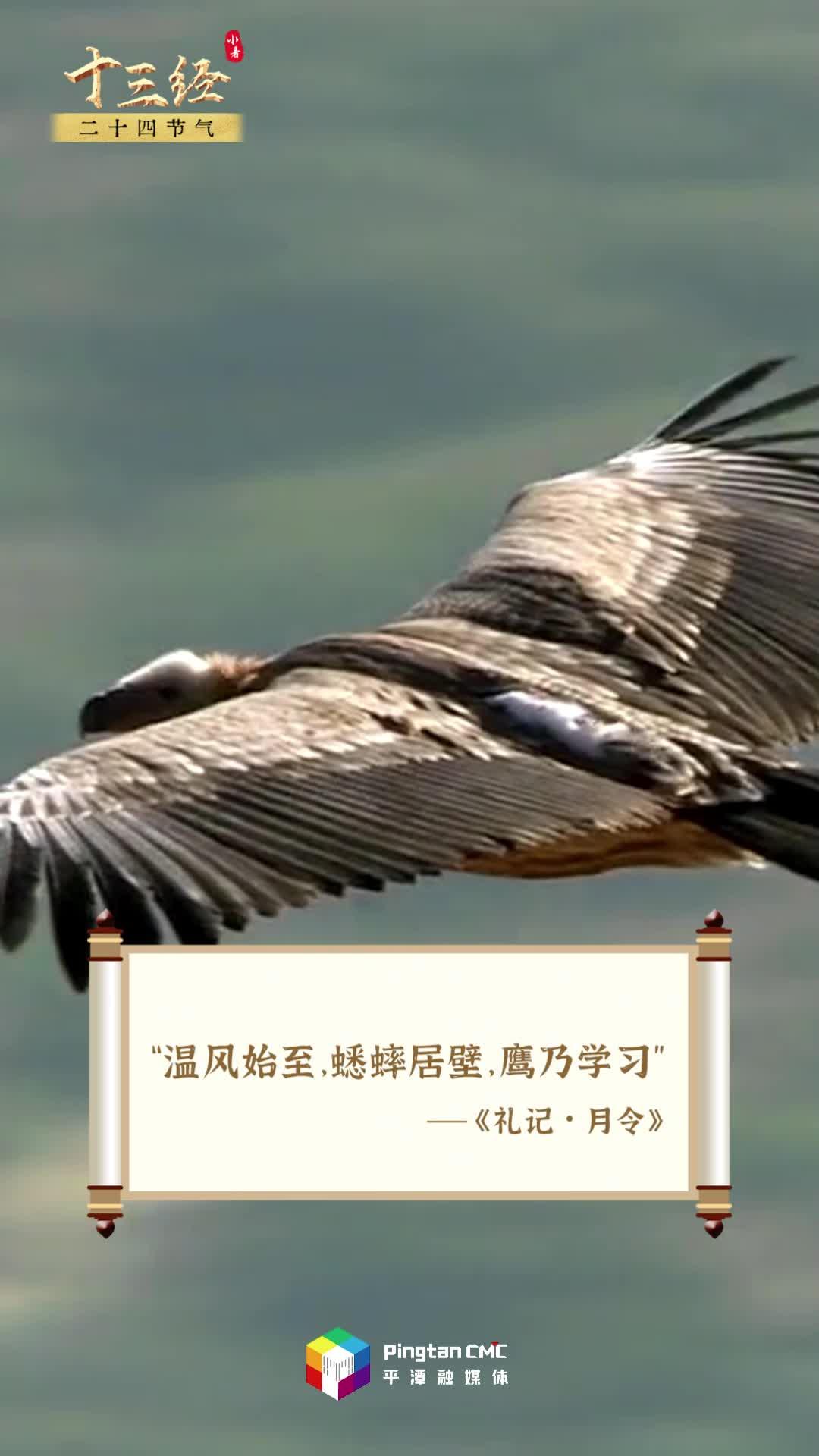 人生亦如盛夏，勇敢奔赴山海吧！